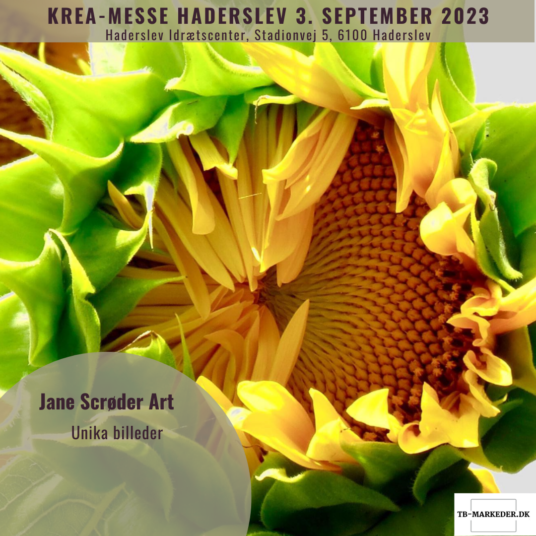 Haderslev17