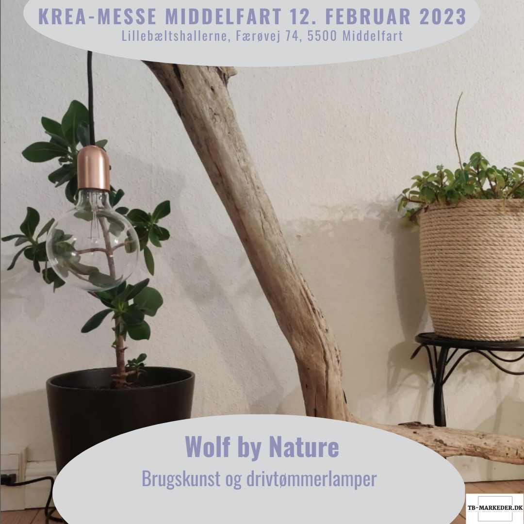 Middelfart15