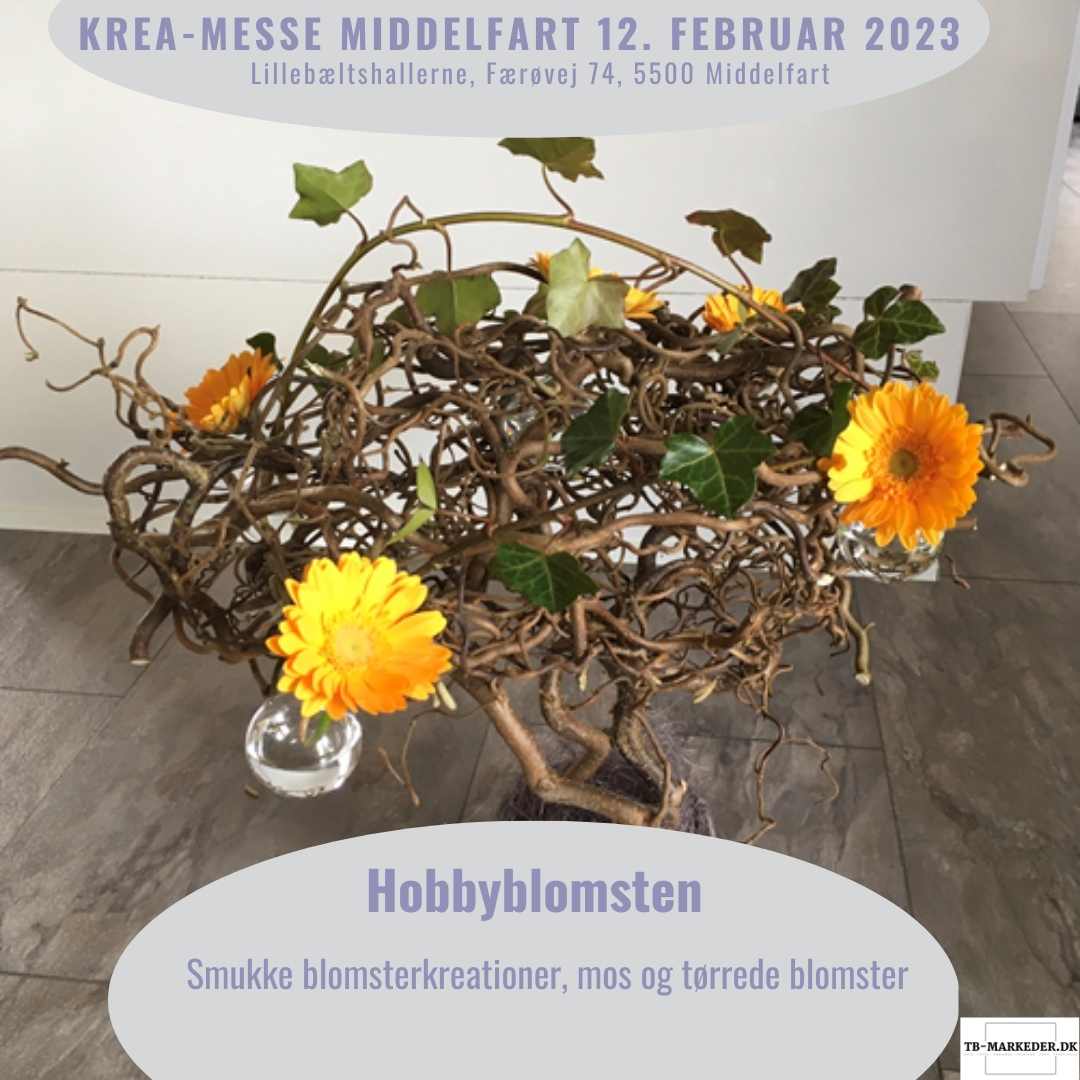 Middelfart44 (5)