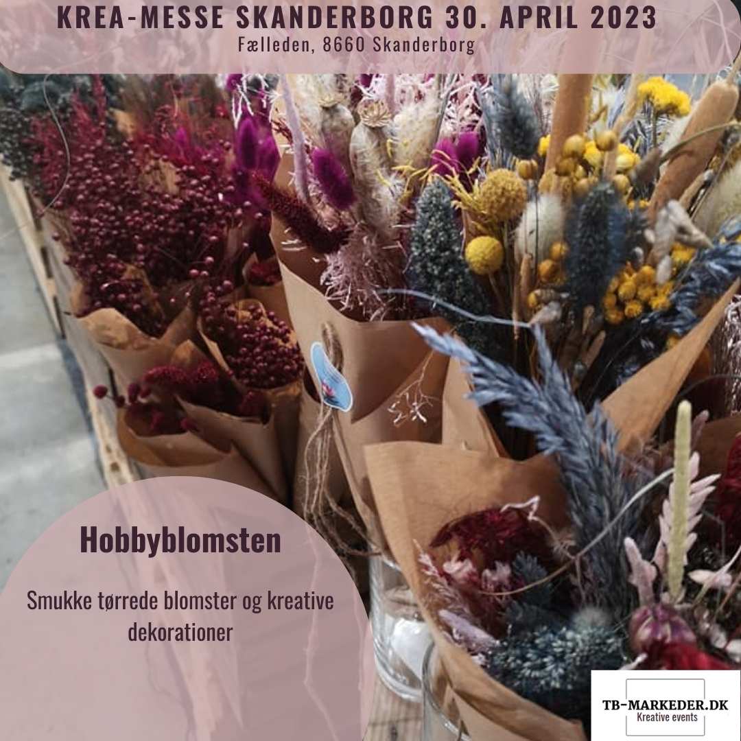 Skanderborg3 (62)